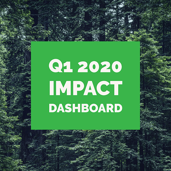 Impact Dashboard – Q1 2020