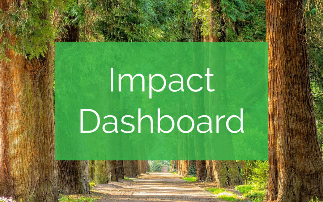 Greenworks Lending Impact Dashboard – Q1 2021